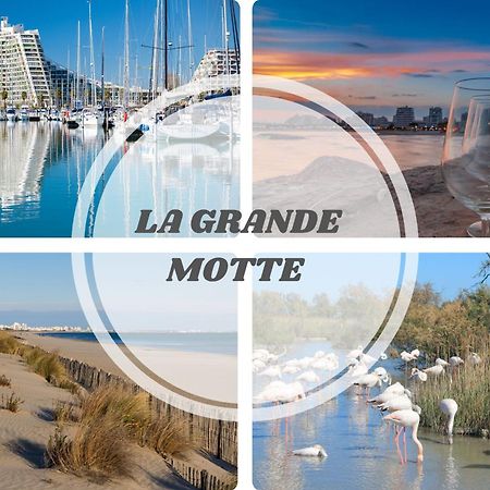 פאלאבה-לה-פלו Le Dream Beach-Terrasse-Vue Mer D'Exception-Wifi-Parking - Top Pros Servicesconciergerie מראה חיצוני תמונה